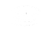 PPG